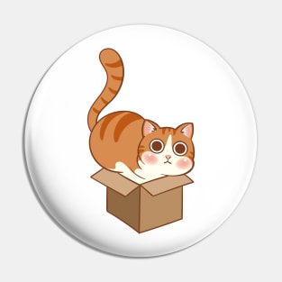 Orange cat in the box Pin