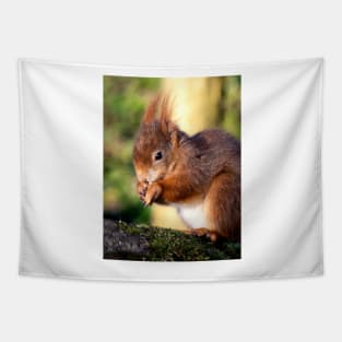 Red Squirrel Tapestry