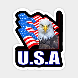 Patriot American Eagle Flag Magnet