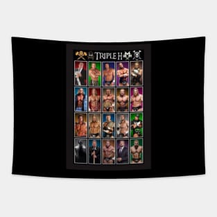 memories of triple h Tapestry