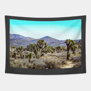 Joshua Tree National Park, California Tapestry