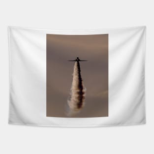 Red Arrow Hawk head-on Tapestry