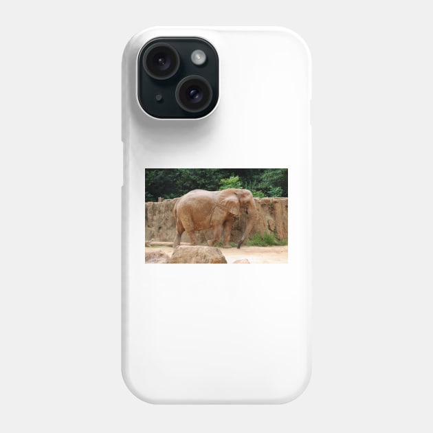 African Elephant Phone Case by Cynthia48