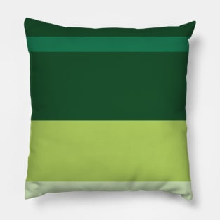 A splendid tranquility of Salem, Seafoam Blue, Tea Green, Cal Poly Pomona Green and June Bud stripes. Pillow