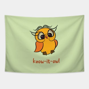 Owl - Know it Owl - Know it all Tapestry