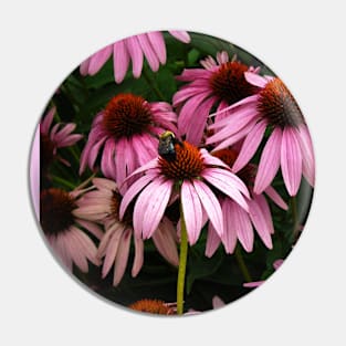 Echinacea and Bee Pin