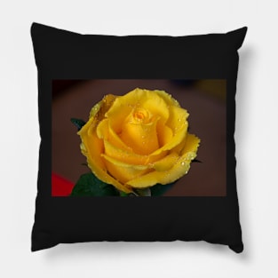 Yellow Rose Portrait Pillow