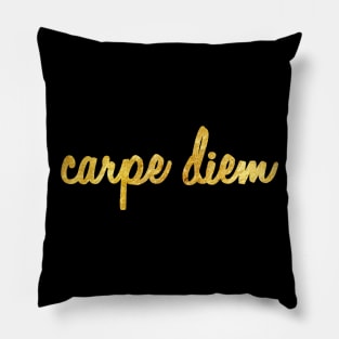 Carpe Diem Pillow