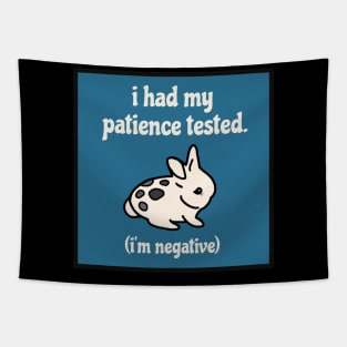 I had My Patience Tested I’m Negative Adorable Mini Lop Bunny in Bad Mood Need A Sleep Tapestry