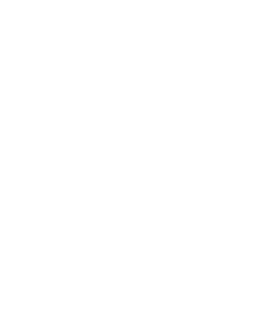 World's okayest sister in law Magnet