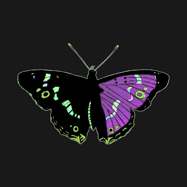 Butterfly 01f, transparent background by kensor