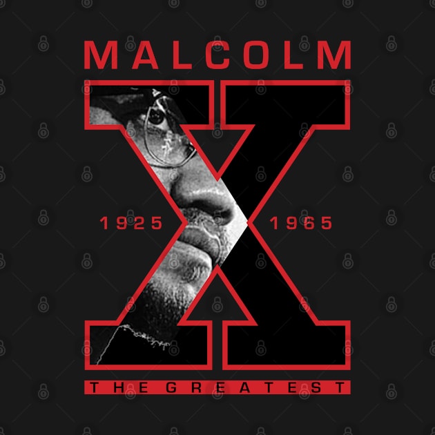 Malcolm X My Black Heroes by ZUNAIRA