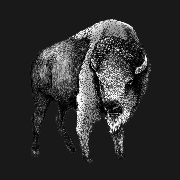 American Buffalo by AirDrawn