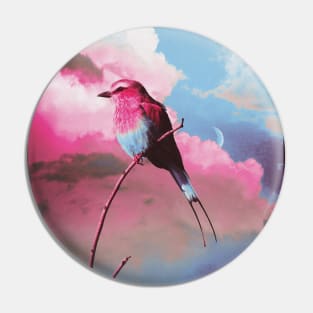 Colorful bird sky Pin