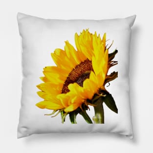 Sunflower Magic Pillow