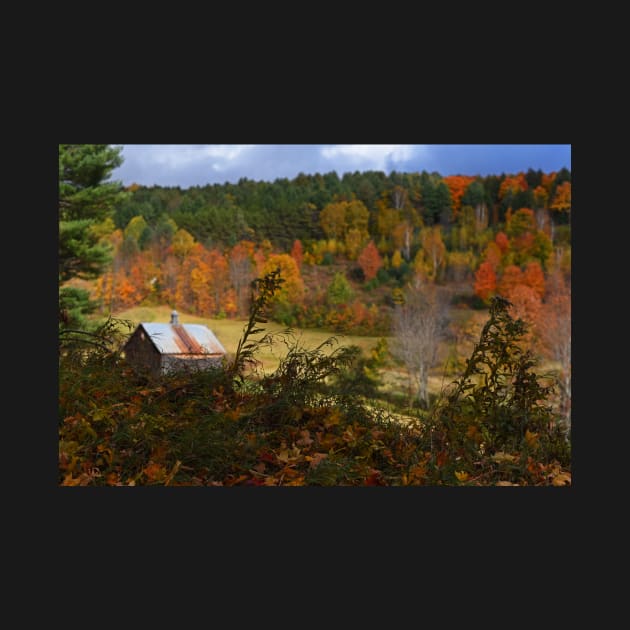 Sleepy Hollows Farm Woodstock Vermont VT Pond Shack Foliage by WayneOxfordPh