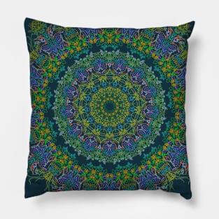 Wood Duck Kaleidoscope Pillow