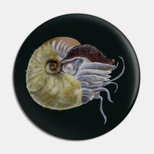 Fuzzy nautilus Pin