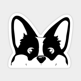 Black and White Peeking Corgi Magnet