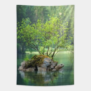 Lake turtle Tapestry