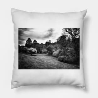 Landscape In Black And White Pillow