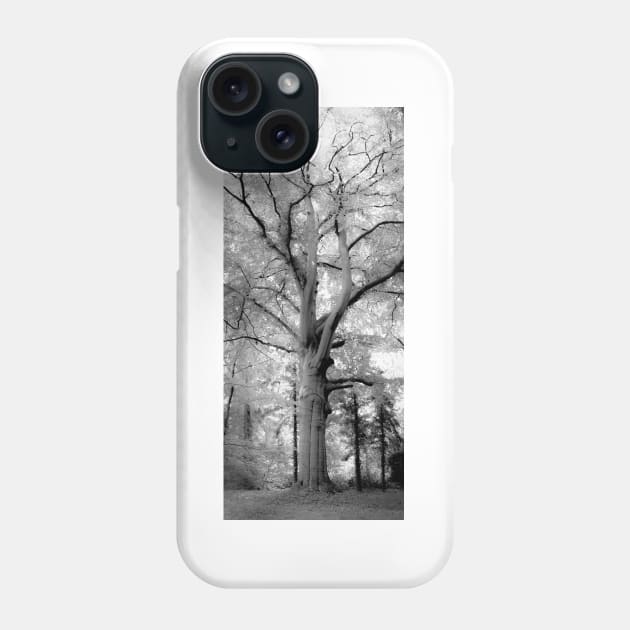 Inosculated beech Phone Case by arc1