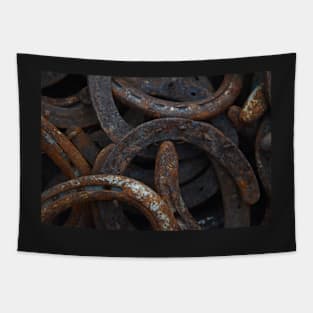 Horse Shoes of the Old West Tapestry