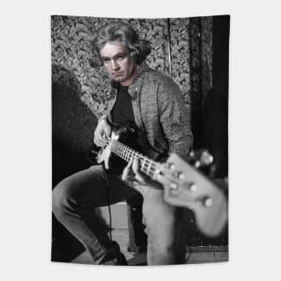 Beethoven solo Tapestry