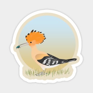 Hoopoe Magnet