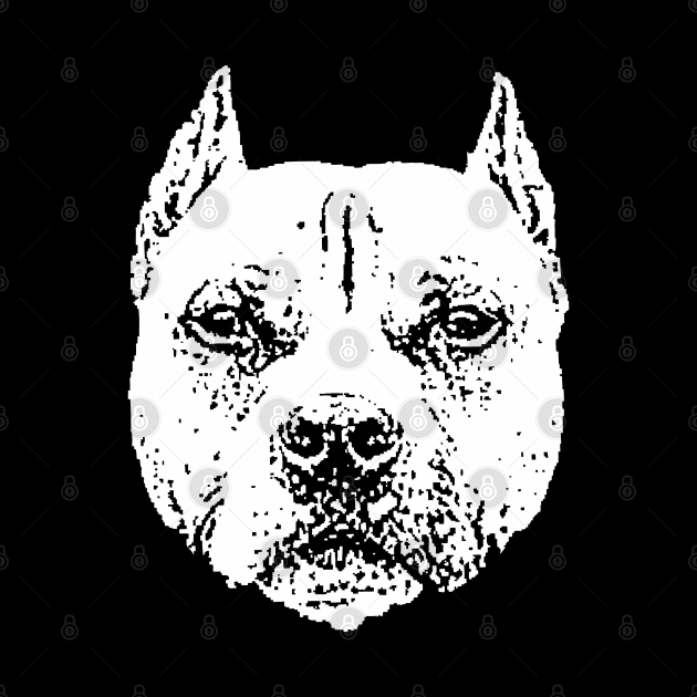 Pit Bull by childofthecorn