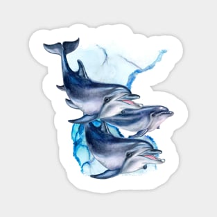 Dolphins swimming Everybody Loves Dolphins and this is a Lovely Dolphin Design Magnet