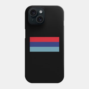 Flag of the Nigerian Defence Forces Phone Case