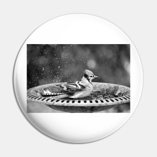 Bird Bath Pin