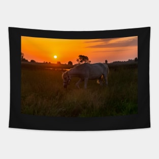 Horse grazing on pasture Tapestry