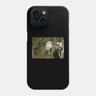 Wild Horse Phone Case