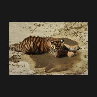 Tiger Cub T-Shirt