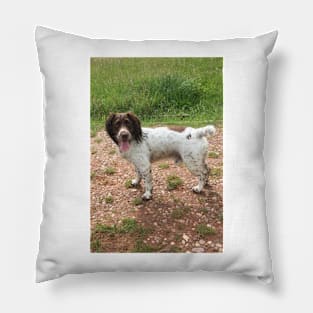 Brock in the Park Pillow