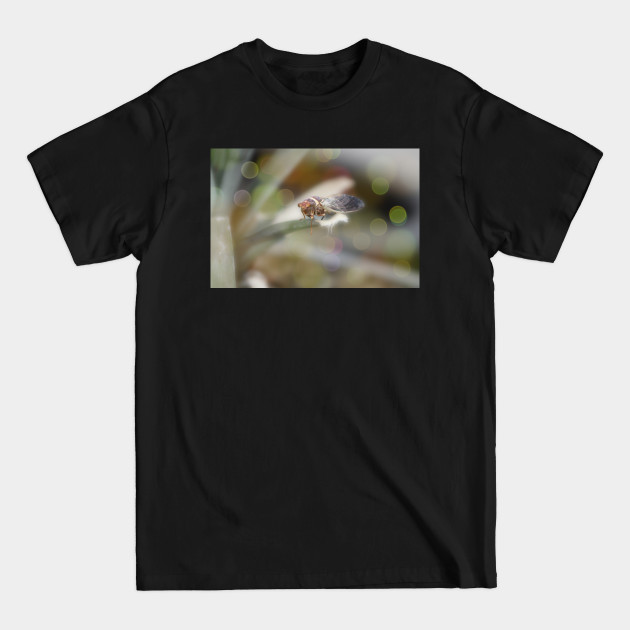 Discover Cicada on Pineapple Tree in Summer Light - Digital Artist - T-Shirt