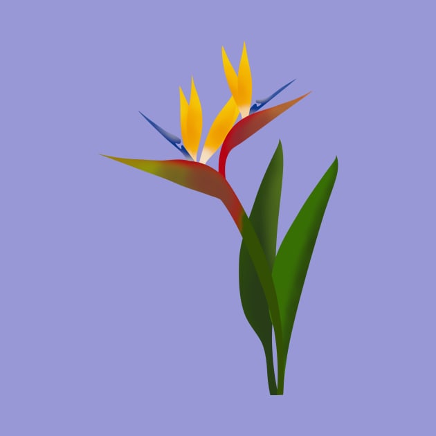 Bird of Paradise by CorrieMick