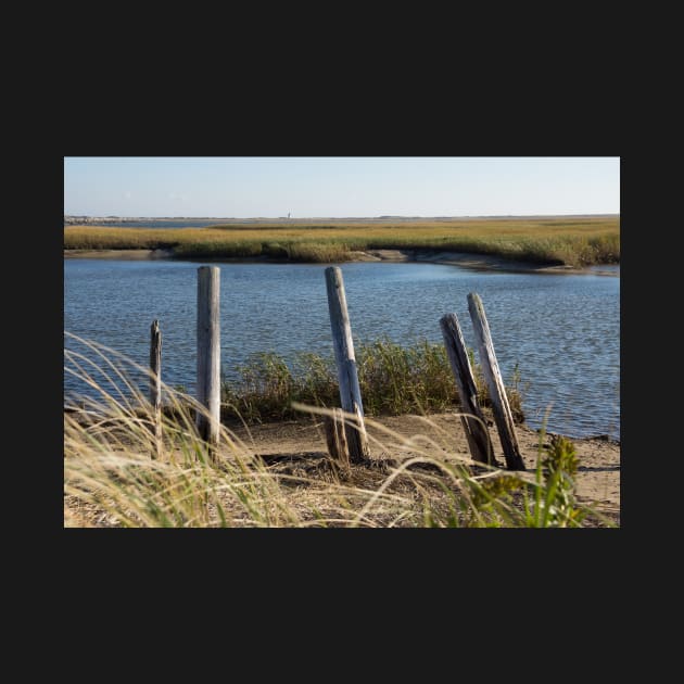 poles in the sand by sma1050