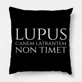 lupus non timet canem latrantem - a wolf is not afraid of a barking dog - Latin quote Pillow