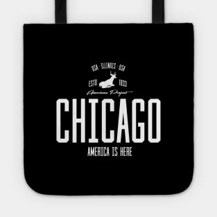 USA, America, Chicago, Illinois Tote