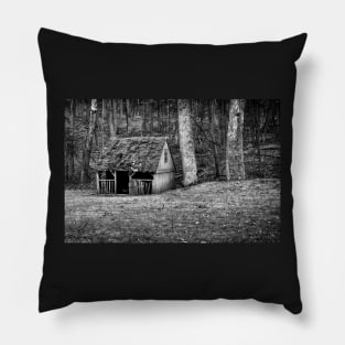 Broken-down Shack In Black And White Pillow