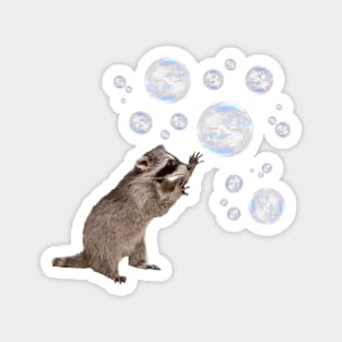 Bubbles the Raccoon Magnet