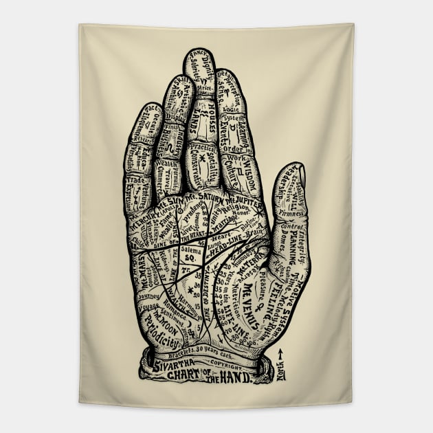 Palmistry diagram