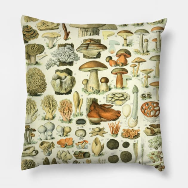 Mushroom Chart Pillow by bluespecsstudio