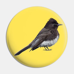 Black Phoebe Songbird Flycatcher Bird Pin