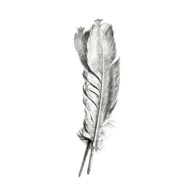 Black White Feather by thecolddots