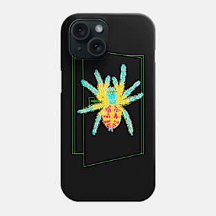 Brazilian Jewel Tarantula Typhochlaena seladonia Phone Case