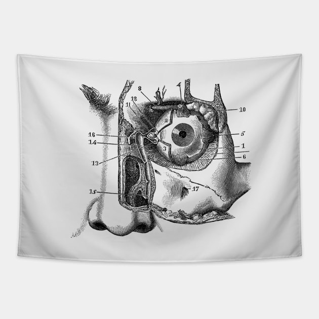 Human Eye and Tear Duct Diagram - Vintage Anatomy Tapestry by Vintage Anatomy Prints